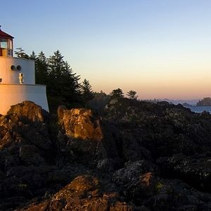 Meet your Posher, Kamryn